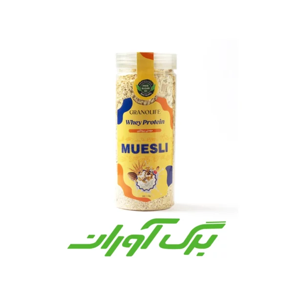 موسلی پروتئین 380 گرمی