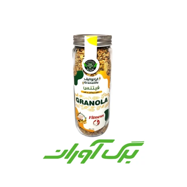 گرانولا فیتنسی 380 گرمی